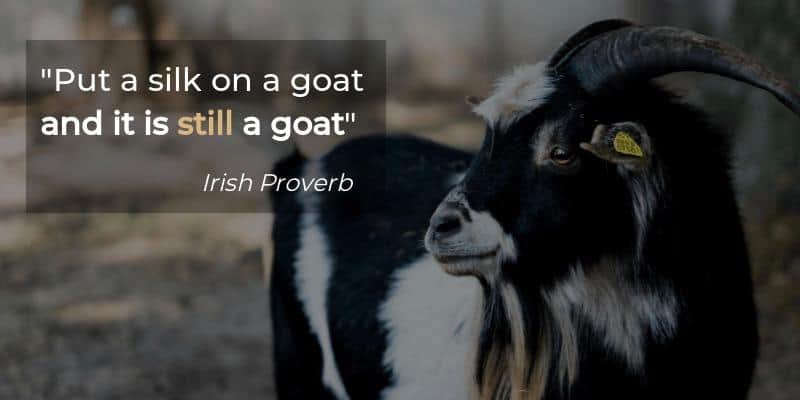 Put a silk on a goat and it is still a goat